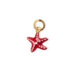 Charm Isola Bella in Argento e Smalto | Stella Marina - D-Javù – 20000651