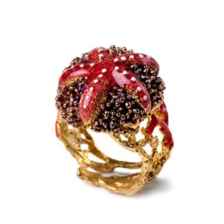 Anello Isola Bella Argento Smalto - Stella Riccio - 20000793
