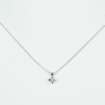 Collana Davite & Delucchi in Oro Bianco con Diamante - CLNS10138