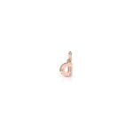 Charm Le Bebè in Oro Rosa e Argento con Lettera D - Lock Your Love - LBB170-D