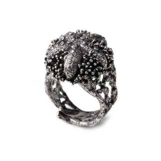 Anello Isola Bella in Argento Riccio Stella – Nude – 20001057