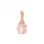 Charm Rosato in Argento con Smalto e Zirconi Coccinella Protezione - Storie - RZLE051